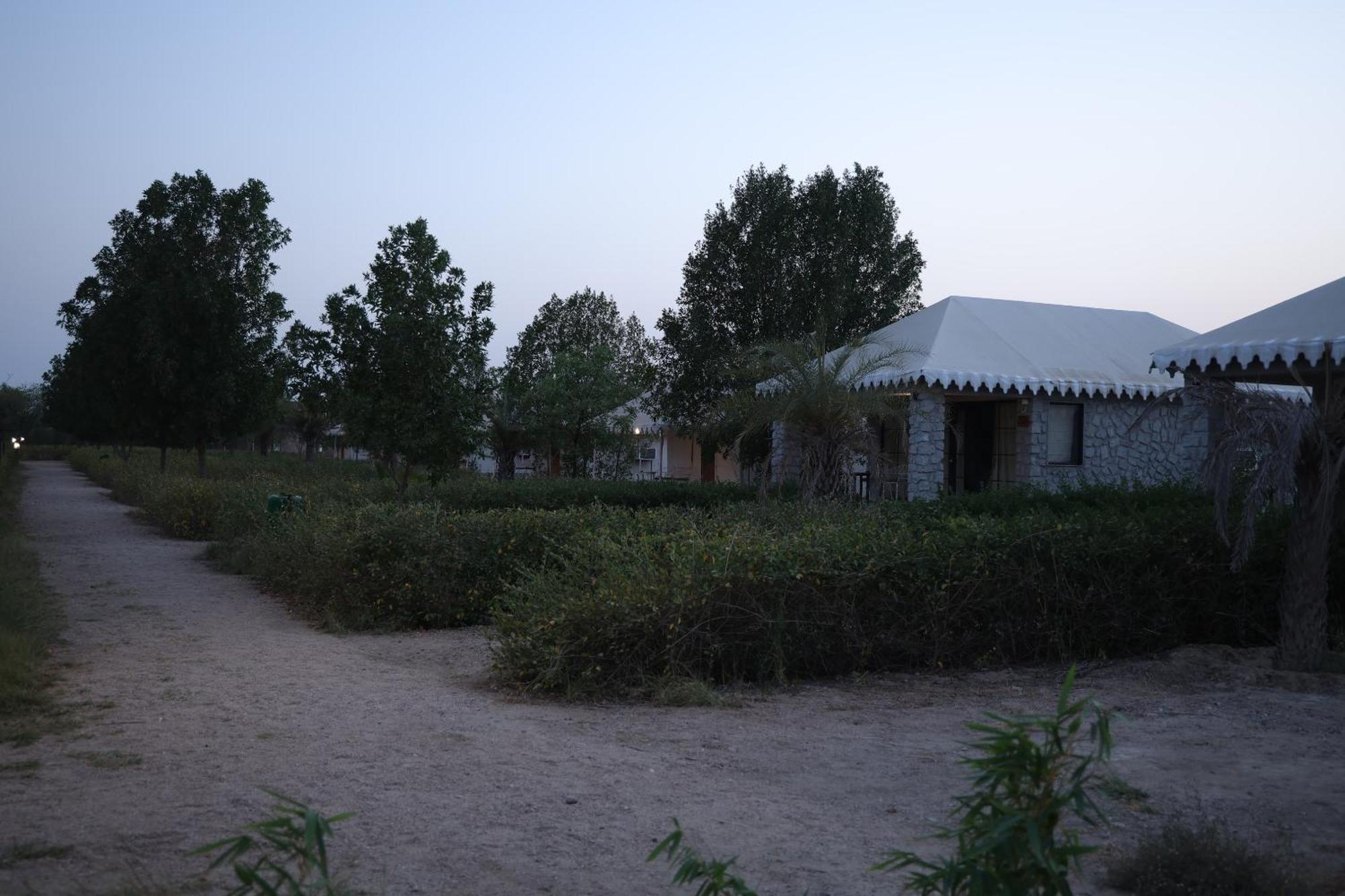 Jawai Bera Leopard Camp Ξενοδοχείο Εξωτερικό φωτογραφία