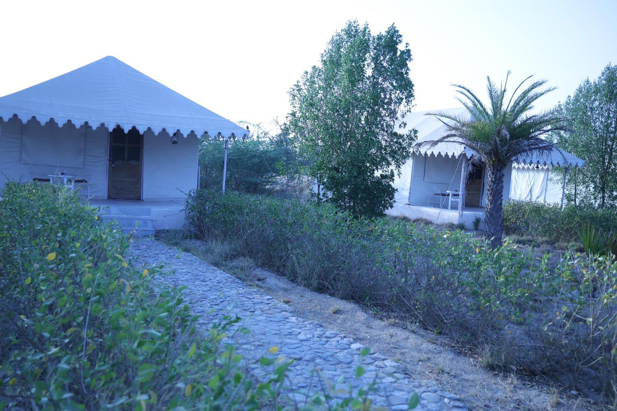 Jawai Bera Leopard Camp Ξενοδοχείο Εξωτερικό φωτογραφία