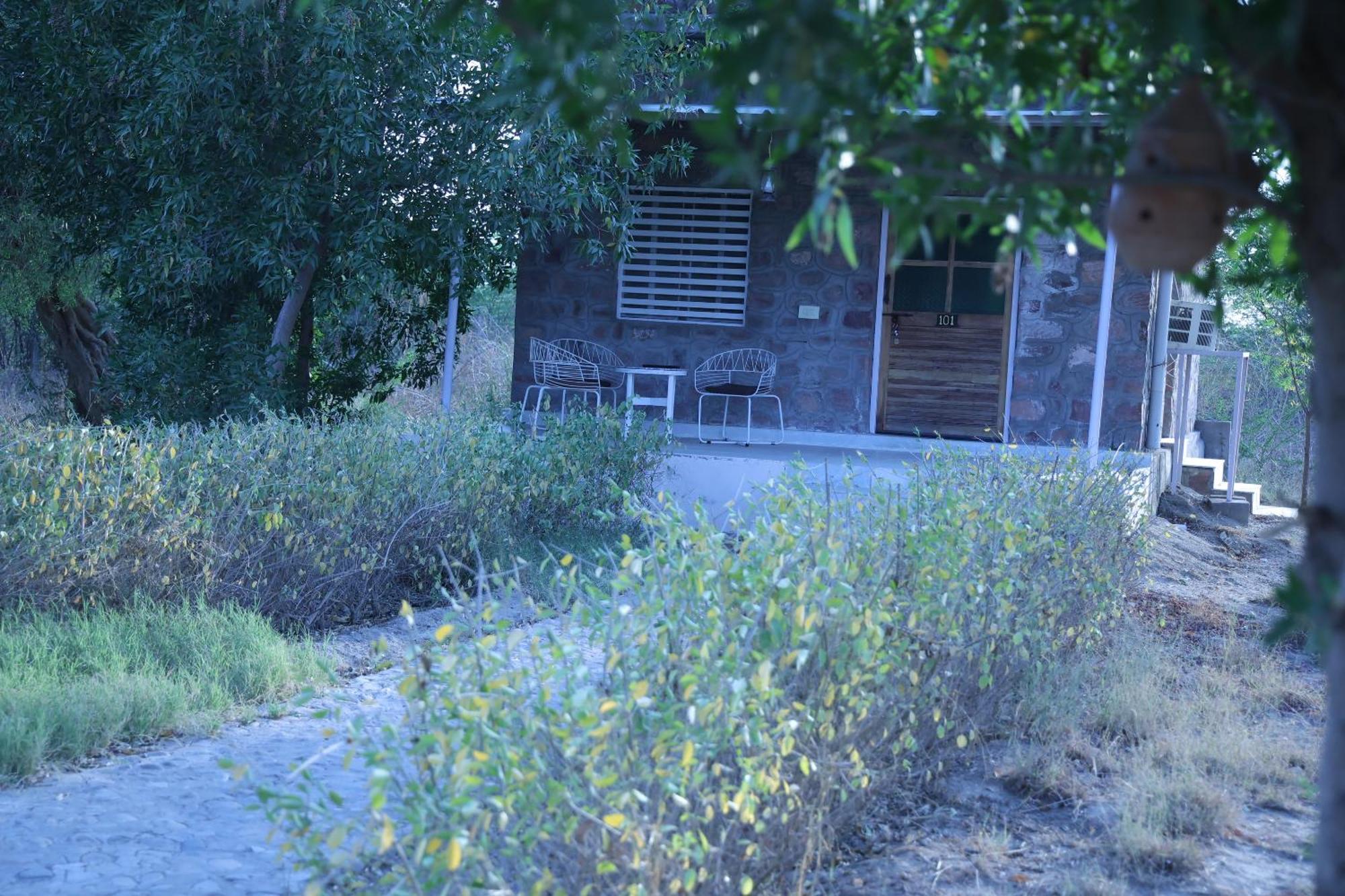Jawai Bera Leopard Camp Ξενοδοχείο Εξωτερικό φωτογραφία