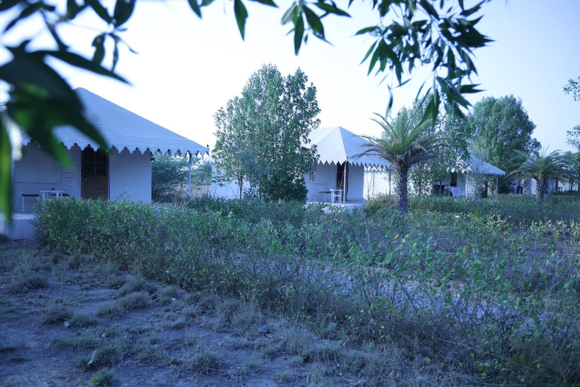 Jawai Bera Leopard Camp Ξενοδοχείο Εξωτερικό φωτογραφία