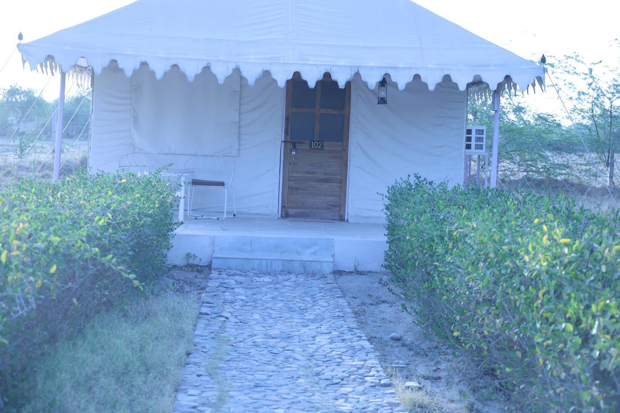 Jawai Bera Leopard Camp Ξενοδοχείο Εξωτερικό φωτογραφία