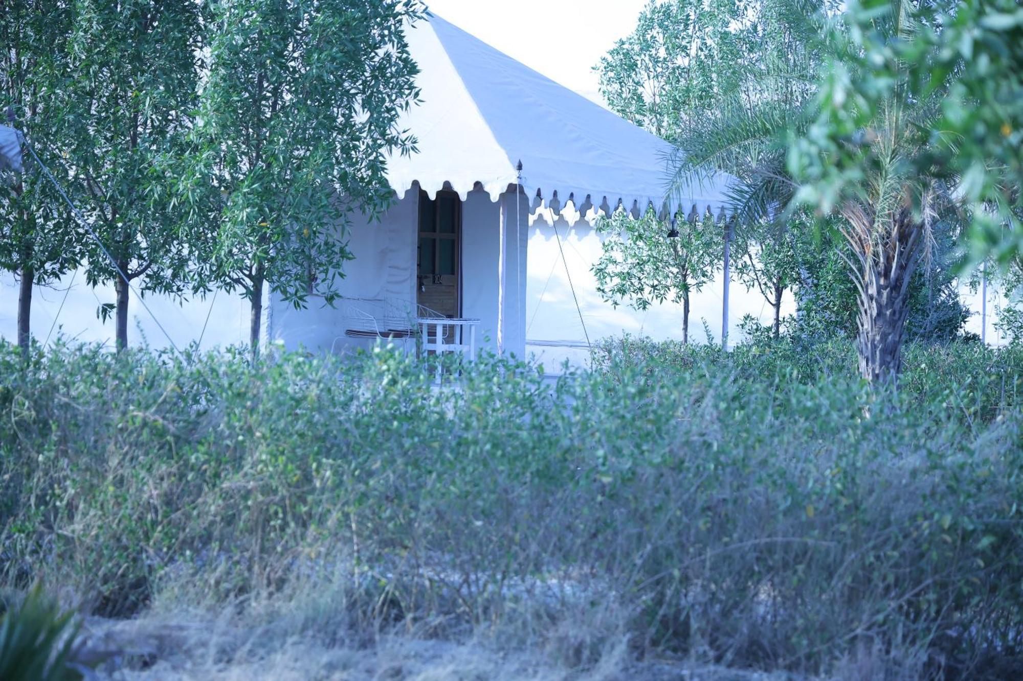 Jawai Bera Leopard Camp Ξενοδοχείο Εξωτερικό φωτογραφία