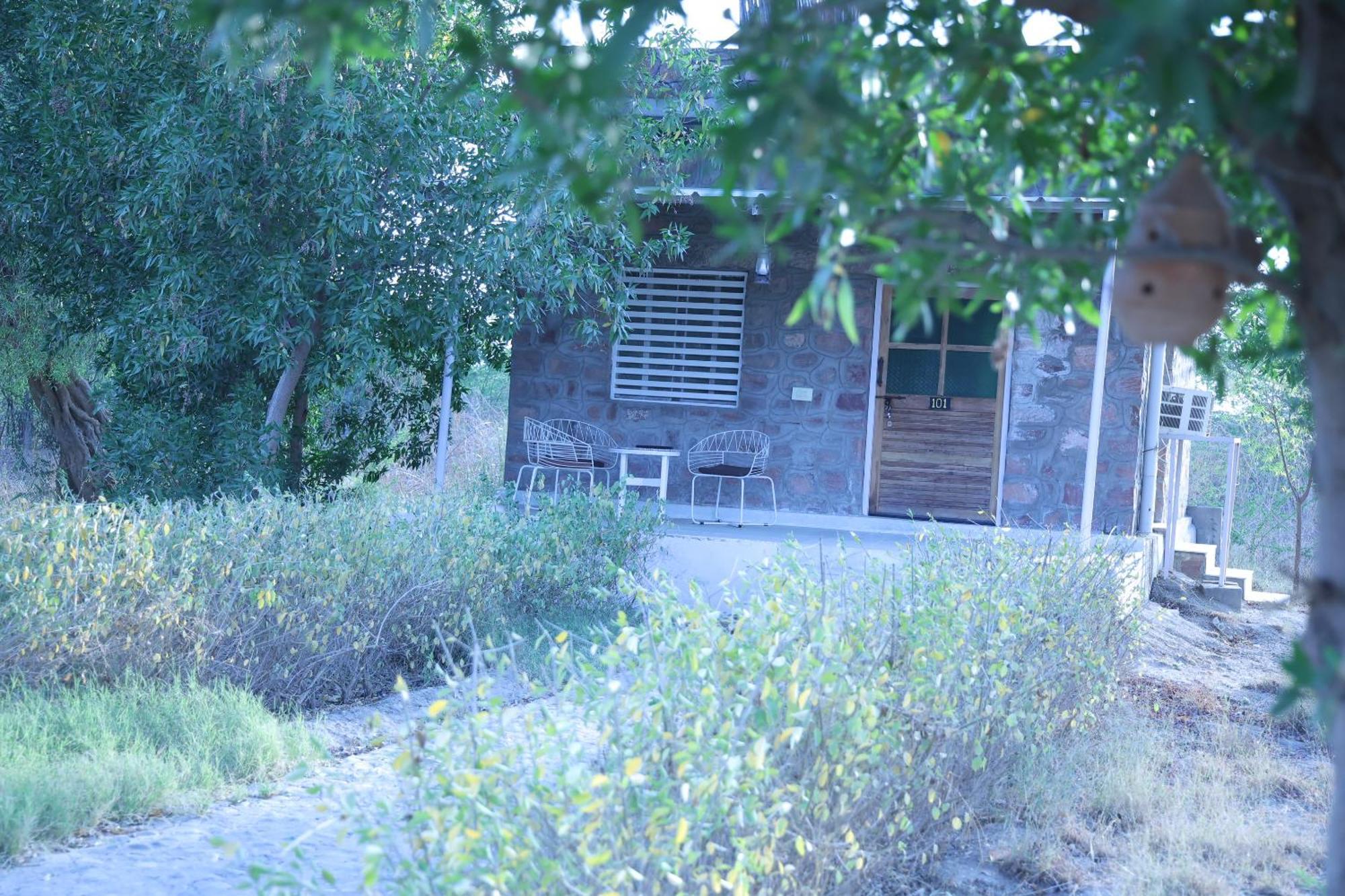Jawai Bera Leopard Camp Ξενοδοχείο Εξωτερικό φωτογραφία