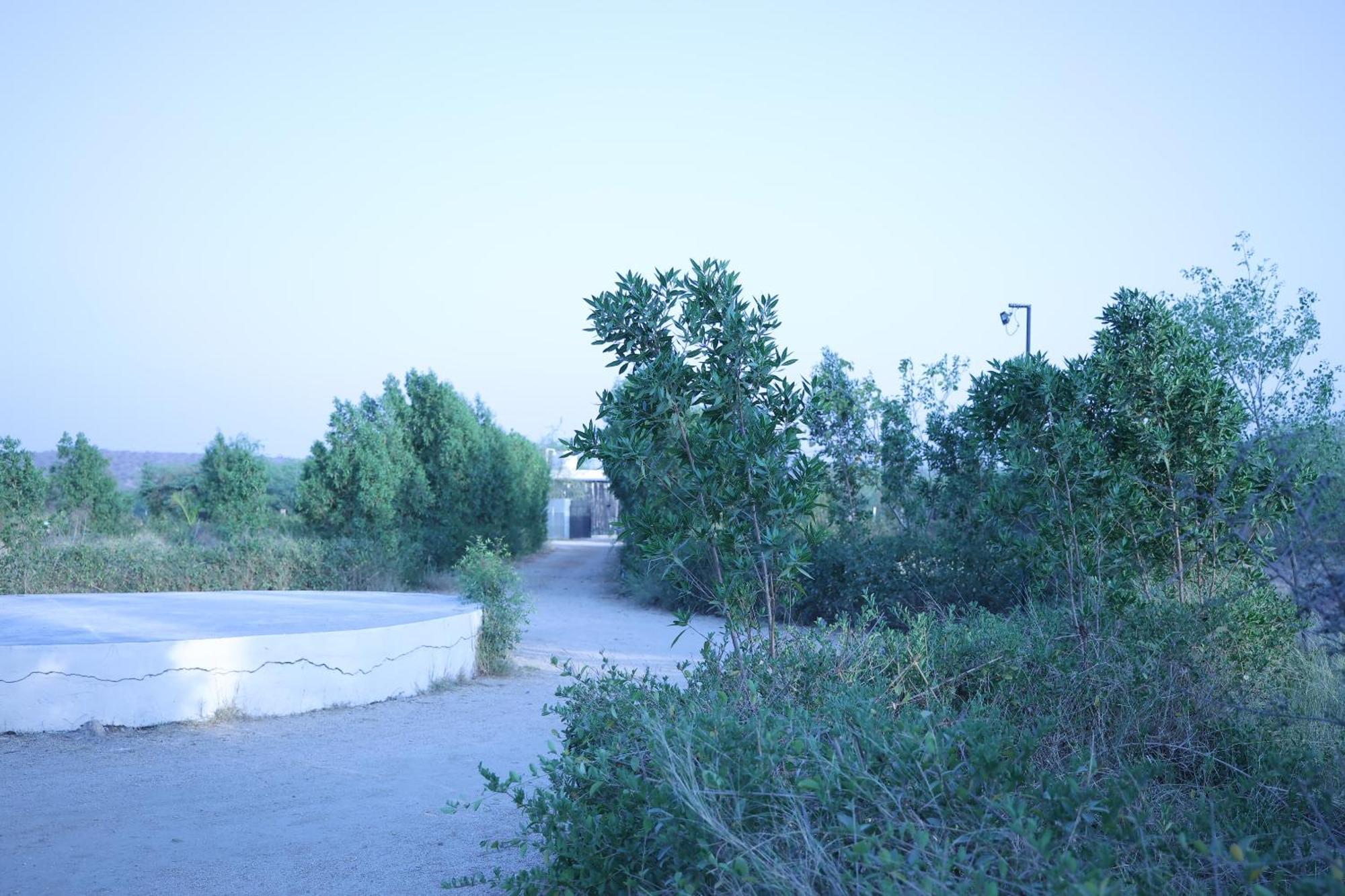 Jawai Bera Leopard Camp Ξενοδοχείο Εξωτερικό φωτογραφία