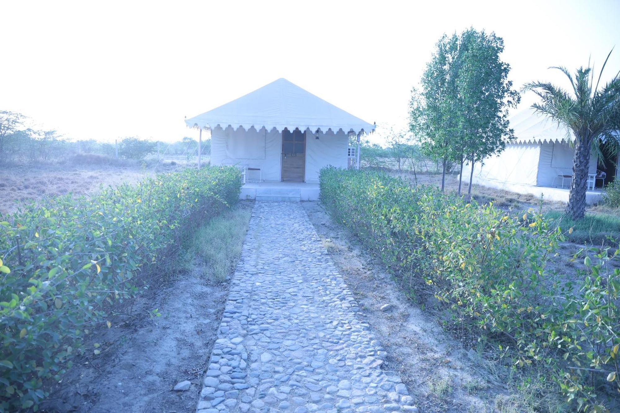 Jawai Bera Leopard Camp Ξενοδοχείο Εξωτερικό φωτογραφία